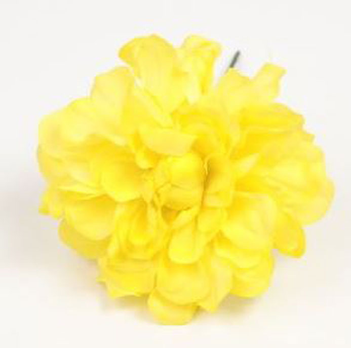 Zinnia. Fleur de Flamenco. Jaune. 9cm