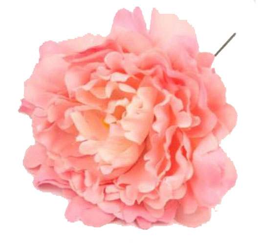 Flamenco Flower Peony Classic Salmon. 12cm