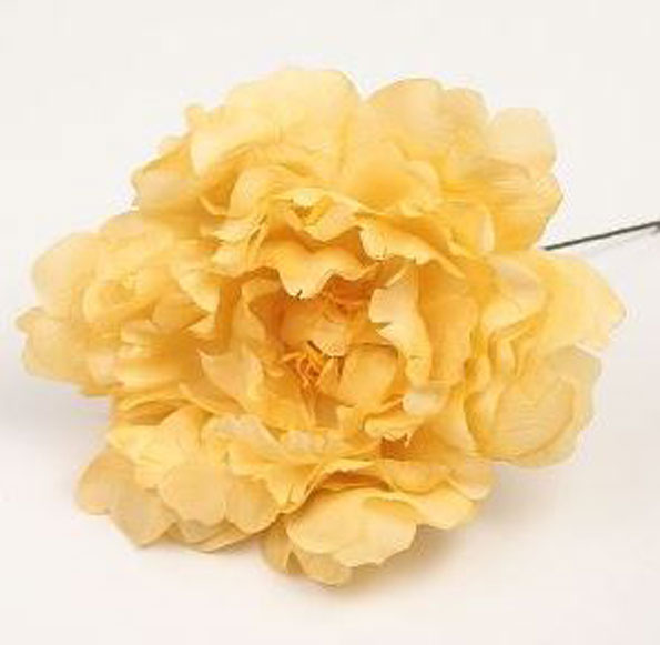 Peony Feria. Flamenco flowers. Mustard. 11cm