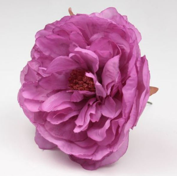 Peonia Sanlucar Flamenco Flowers. 12cm. Bougainvillea