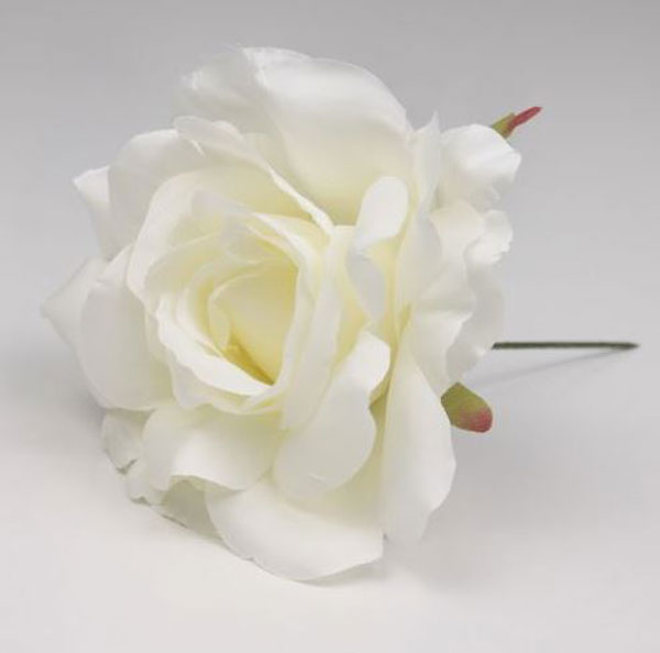 Rosa Pequeña Cádiz. 10cm. Blanco