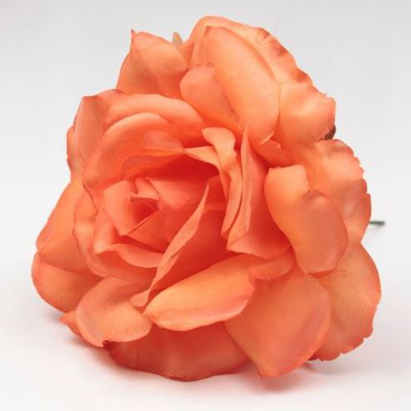 Small Rose Cadiz. 10cm. Salmon