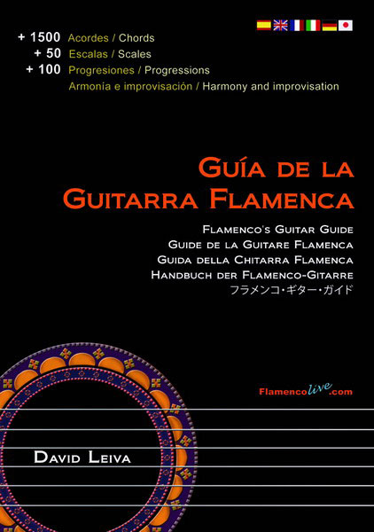 æ¸ç±ããGuÃ­a de la Guitarra FlamencaããDavid Leiva